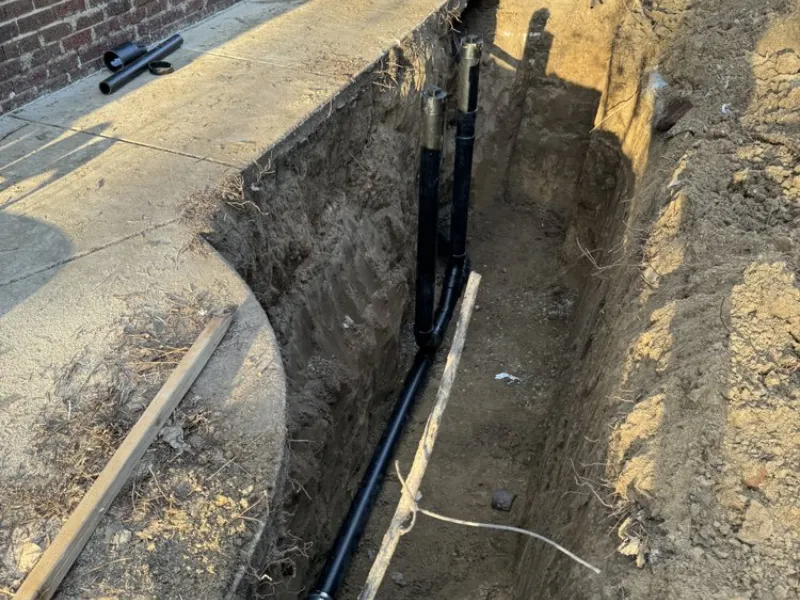 Sewer line exposed to show tree root intrusion